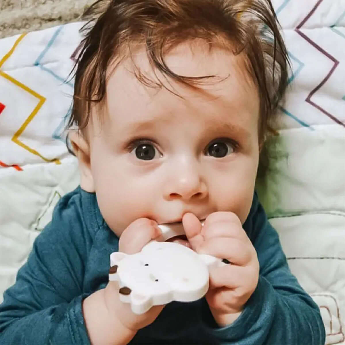 Baby chewing MomMed Silicone Baby Teether cow toy