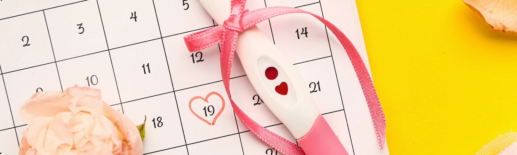 Does Ectopic Pregnancy Show on a Pregnancy Test?
