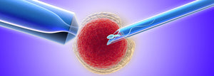 Bodily Changes To Expect After IVF Embryo Transfer (Part-2)