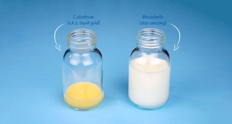 The Essential Guide on How to Collect Colostrum