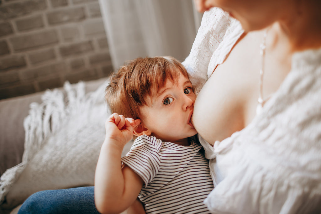 The Best Breastfeeding Guidance for a New Mom