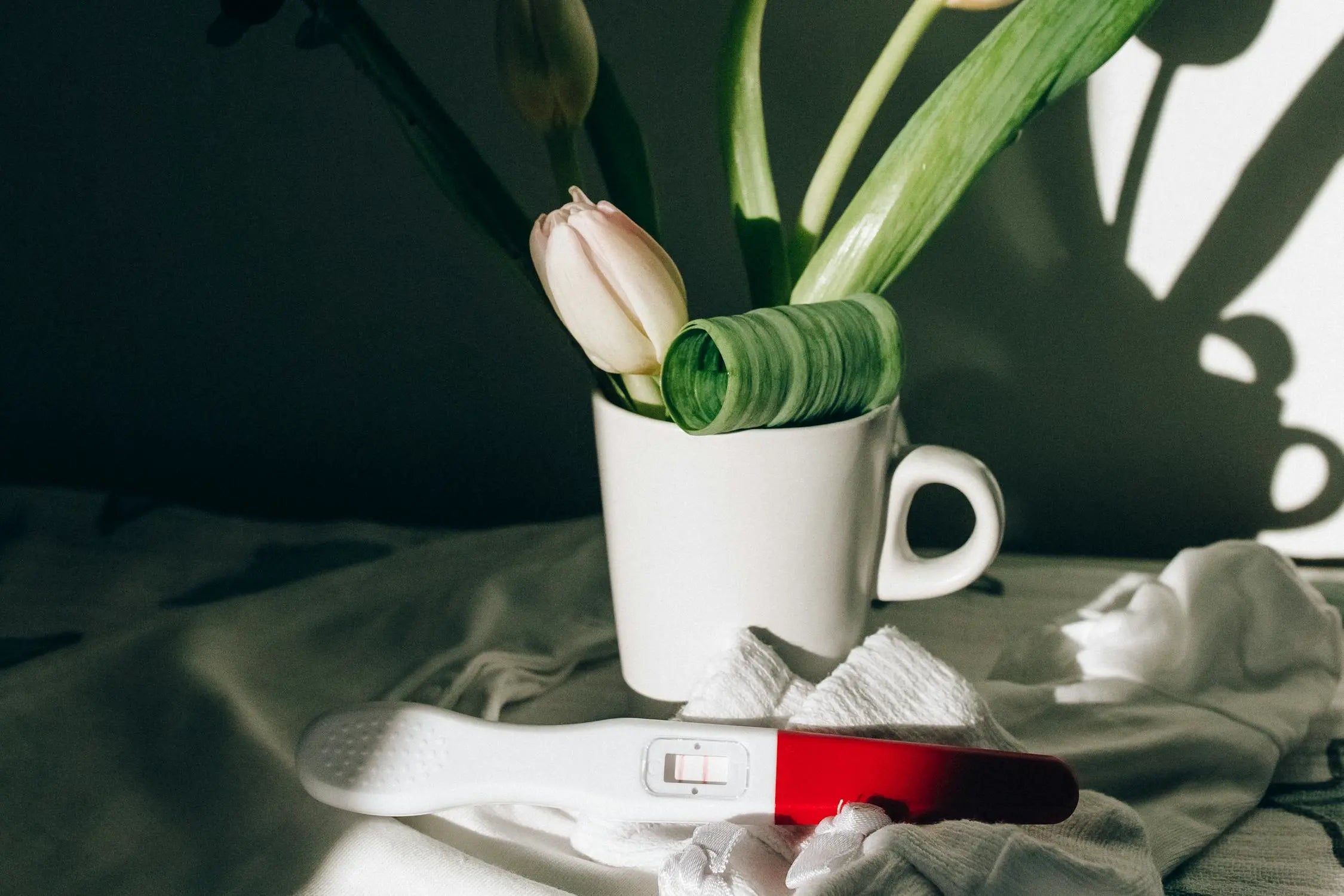 Can You Take a Home Pregnancy Test at 3 Weeks? Everything You Need to Know