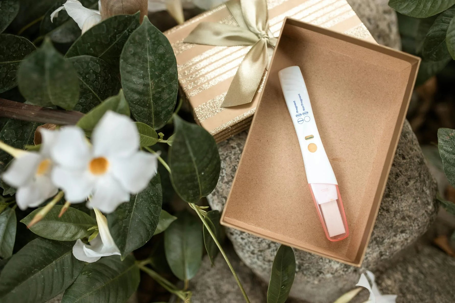 Would a Pregnancy Test Detect an Ectopic Pregnancy? What You Need to Know
