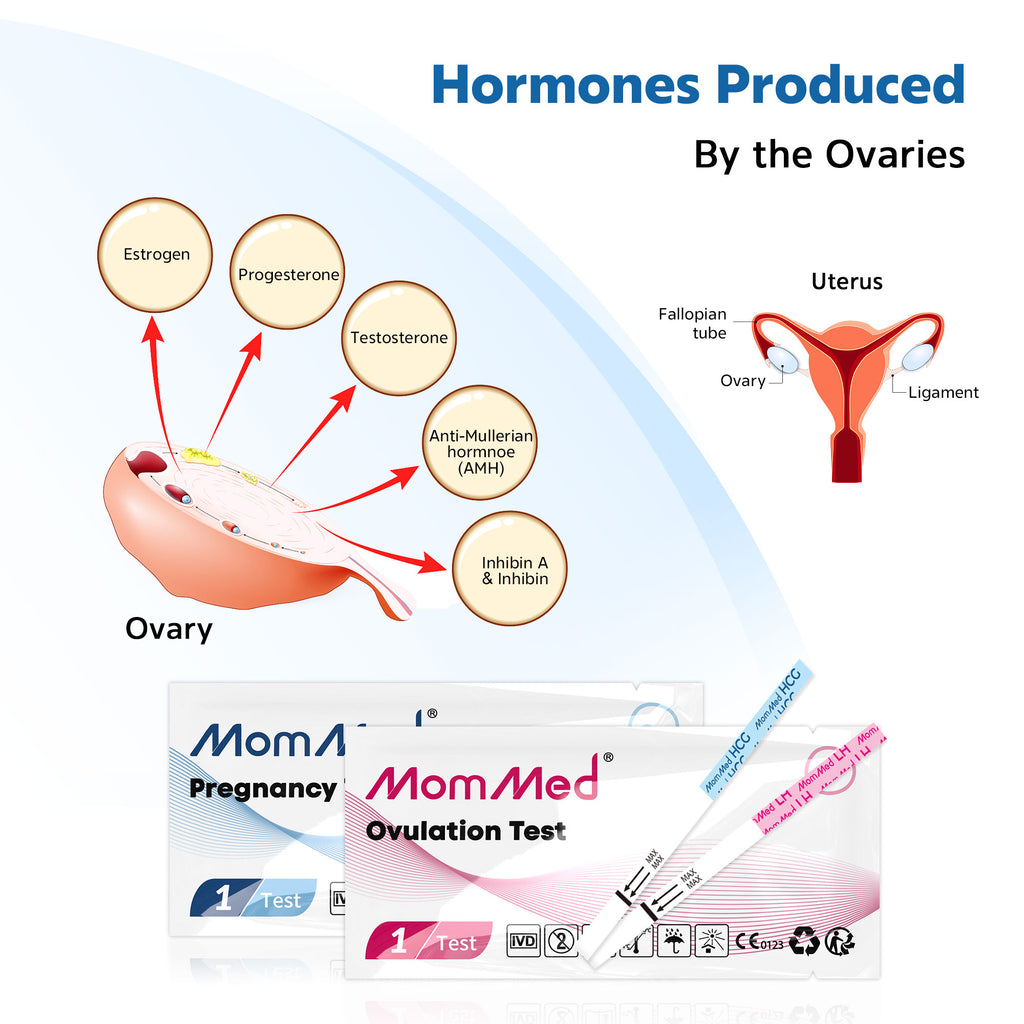 MomMed's Ovulation and Pregnancy Test Strips Combo Kit 